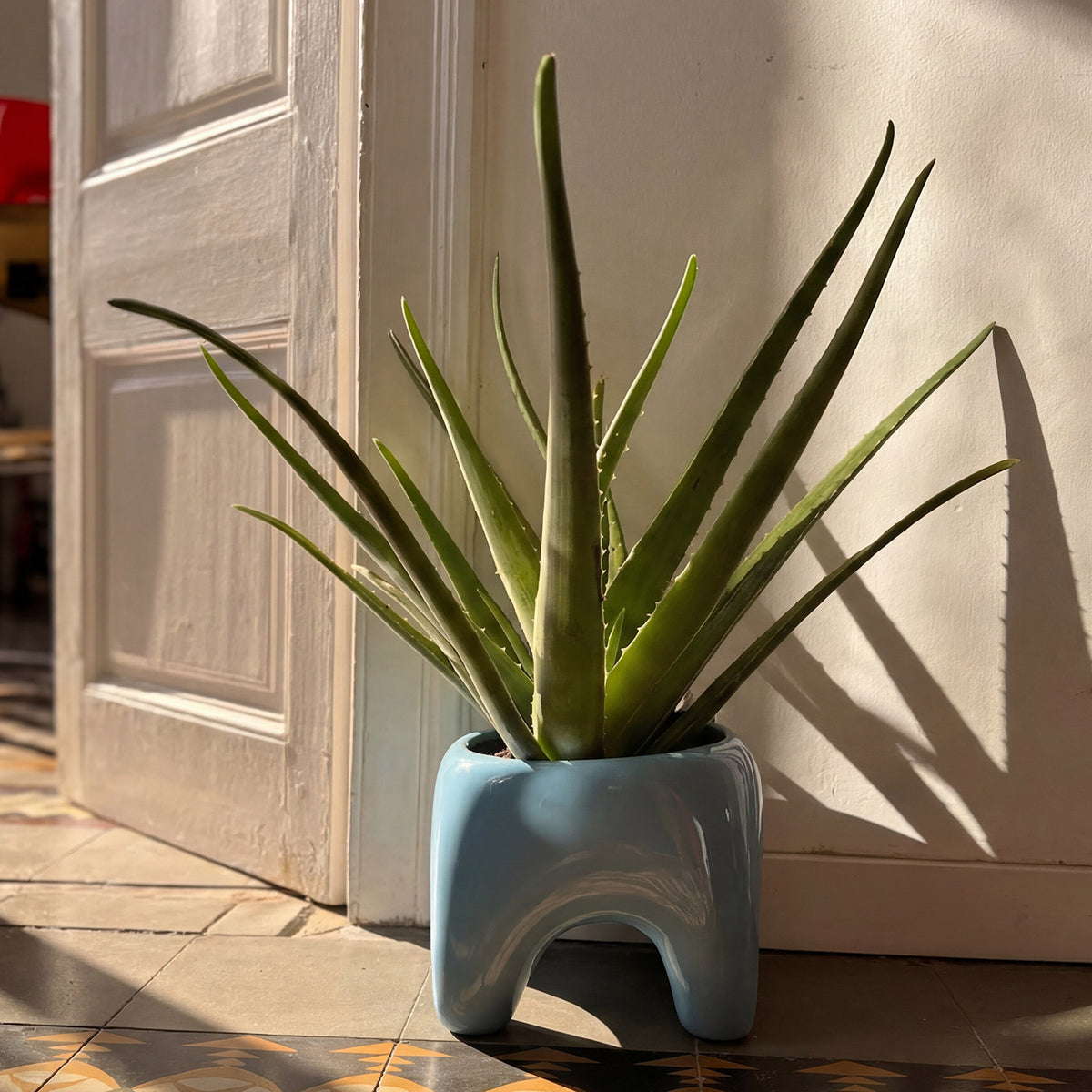 BUDDY Planter | Sky Blue