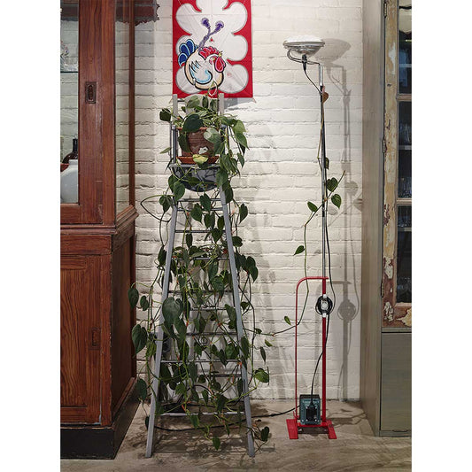 Toio LED Floor Lamp | Red