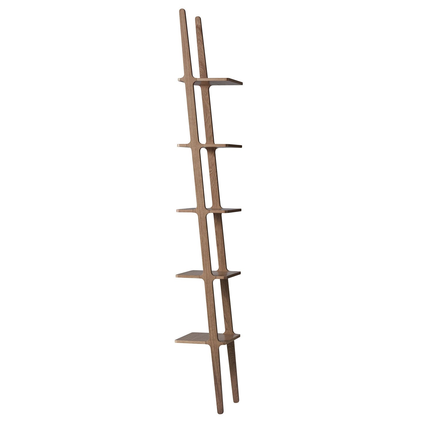 Libri Shelf | Natural Lacquered Oak