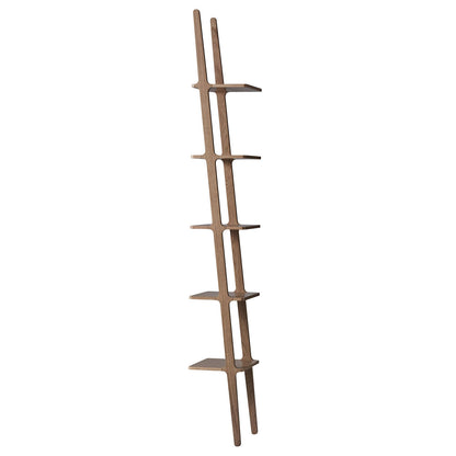 Libri Shelf | Natural Lacquered Oak