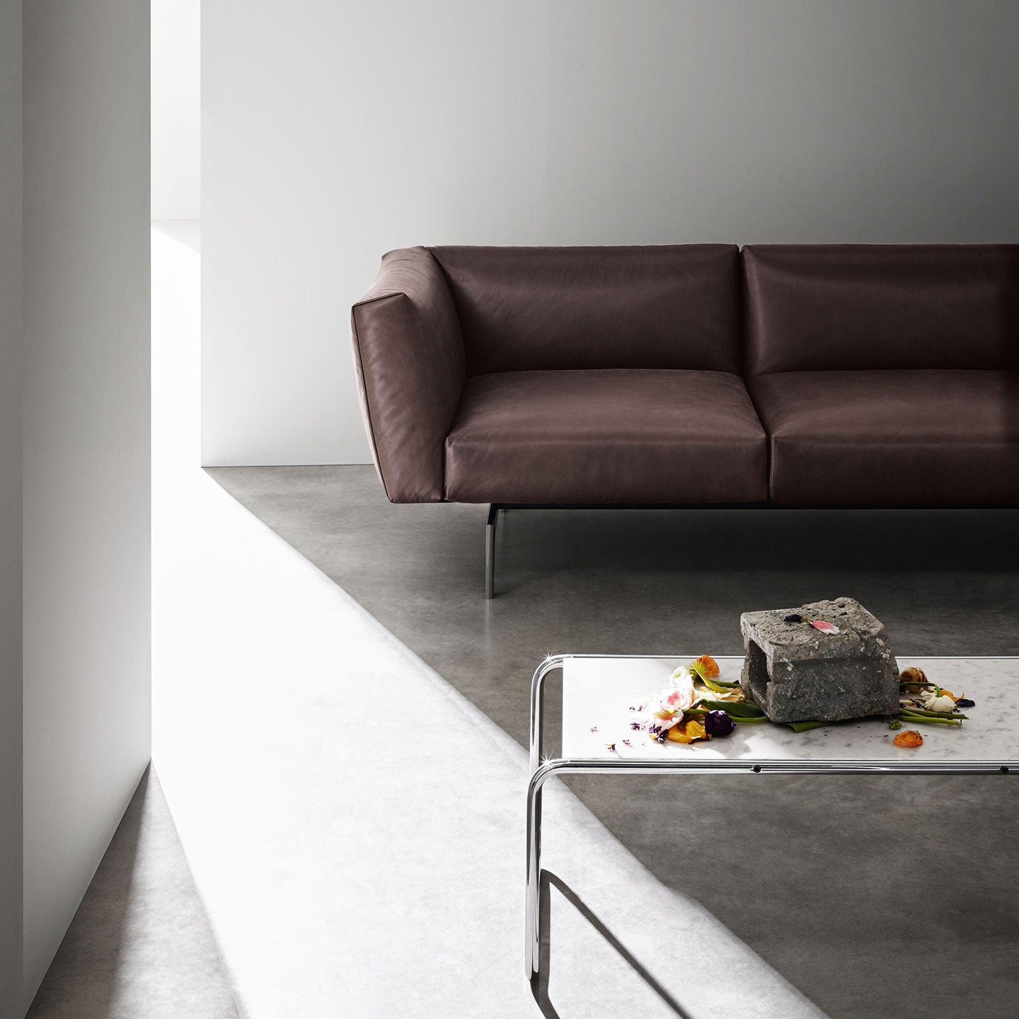 Avio Compact 2 Seat Sofa | Volo Leather 947 Coffee Bean