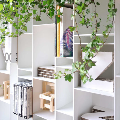 Random Bookcase | White Matt Lacquer