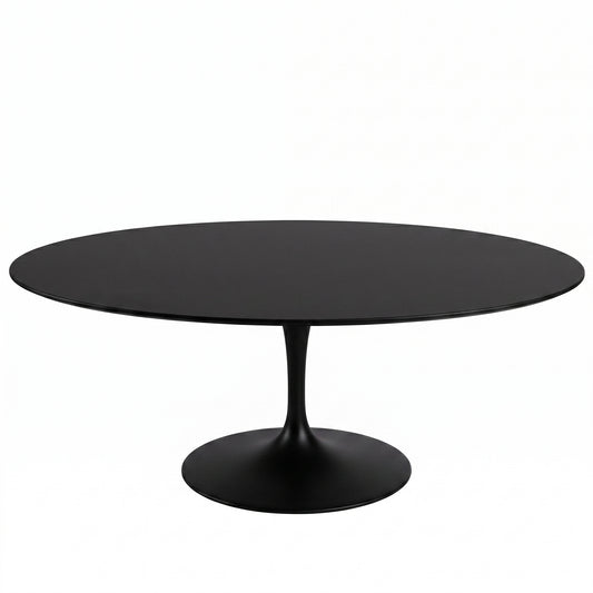 Saarinen Oval Dining Table | Black Fenix Laminate Top - Generated