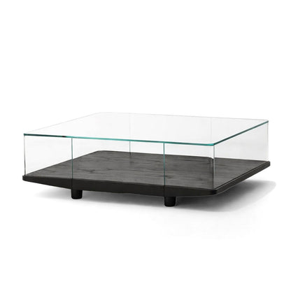 Surplus Stock Collector Square Coffee Table | Transparent Glass and Black Lacquered Ash Base