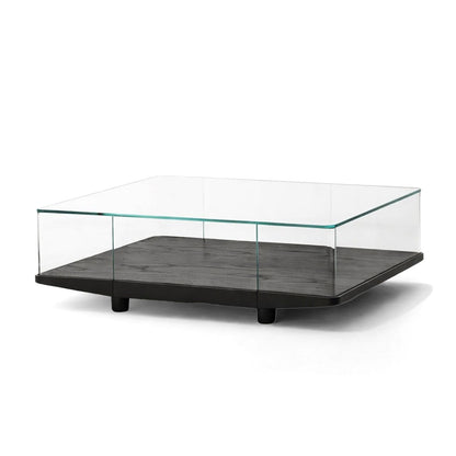 Collector Square Coffee Table | Black Ash Base