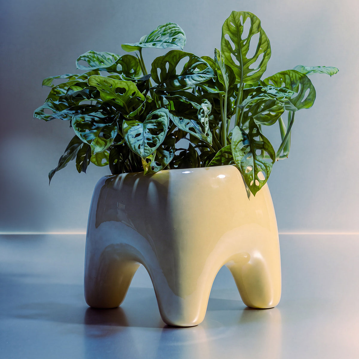 BUDDY Planter | Butter Yellow