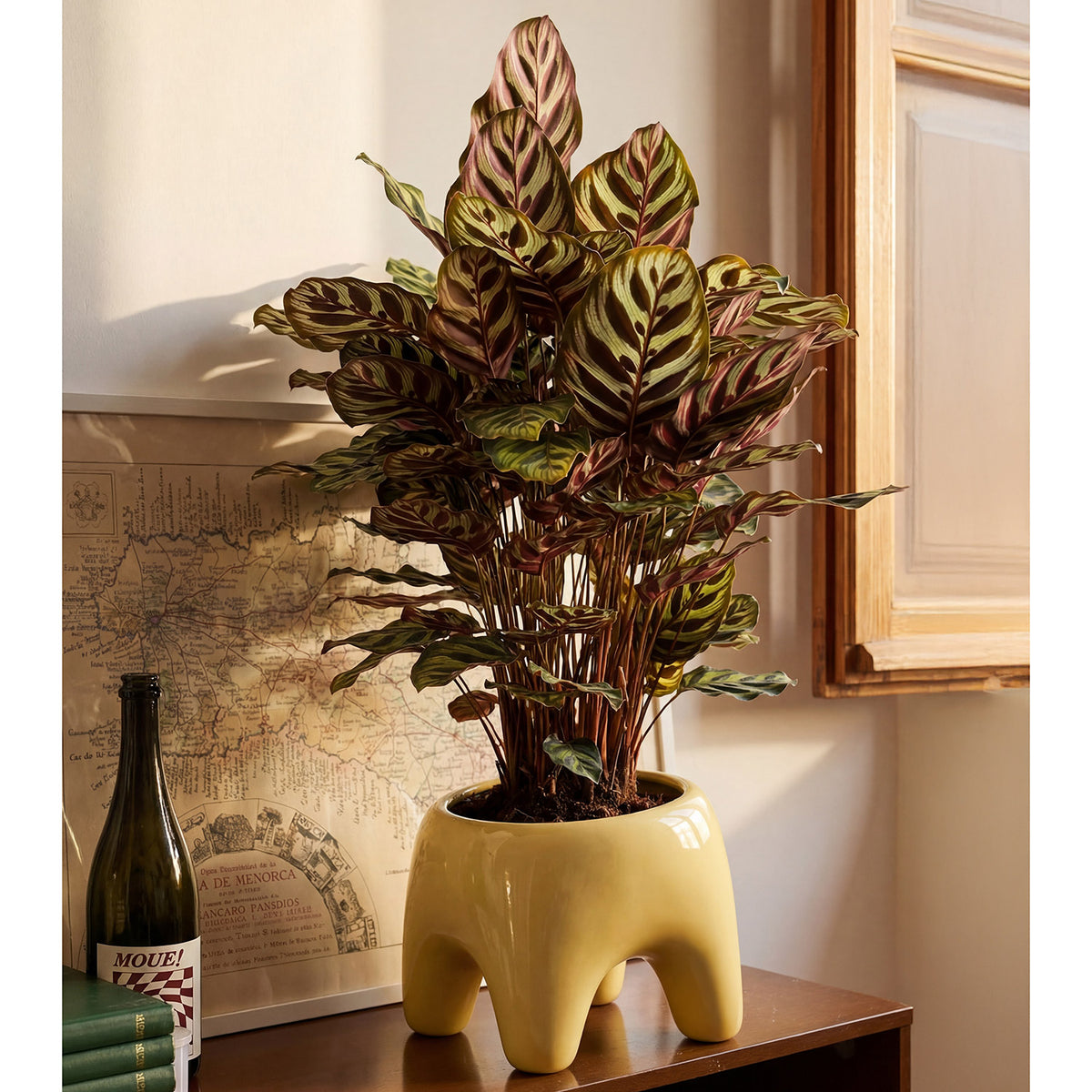 BUDDY Planter | Butter Yellow