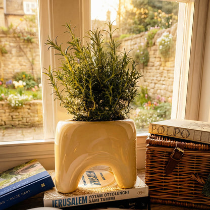 BUDDY Planter | Butter Yellow