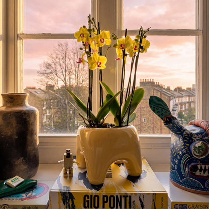 BUDDY Planter | Butter Yellow