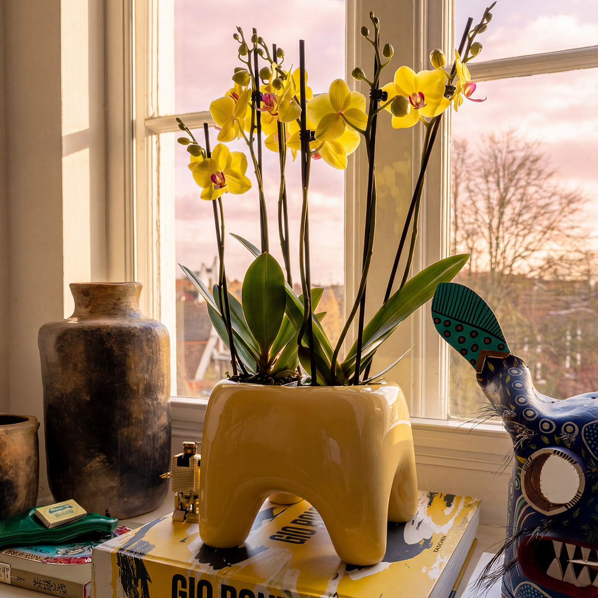 BUDDY Planter | Butter Yellow