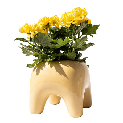 BUDDY Planter | Butter Yellow