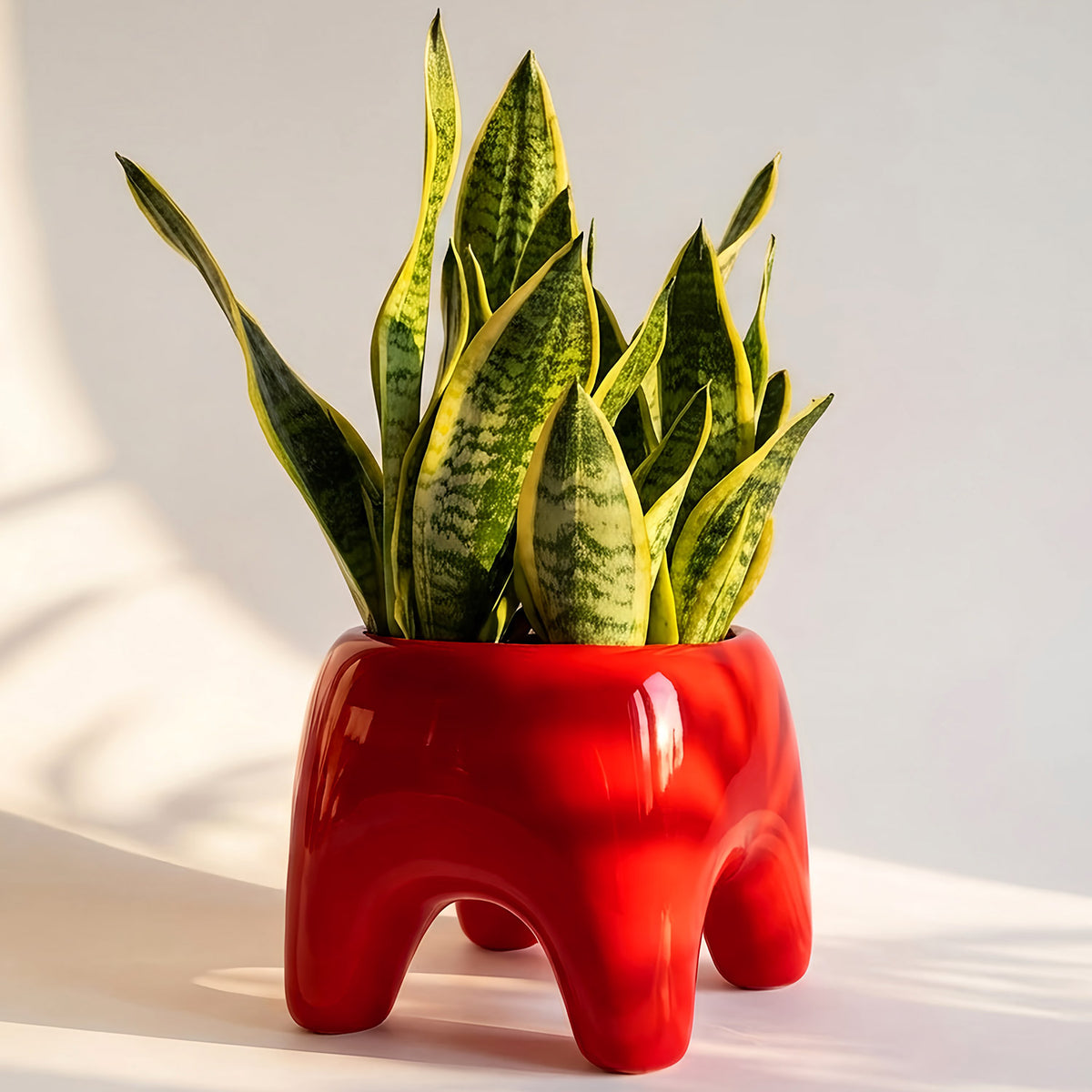 BUDDY Planter | Poppy Red