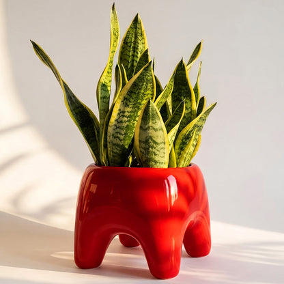 BUDDY Planter | Poppy Red