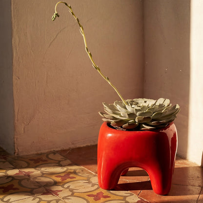 BUDDY Planter | Poppy Red