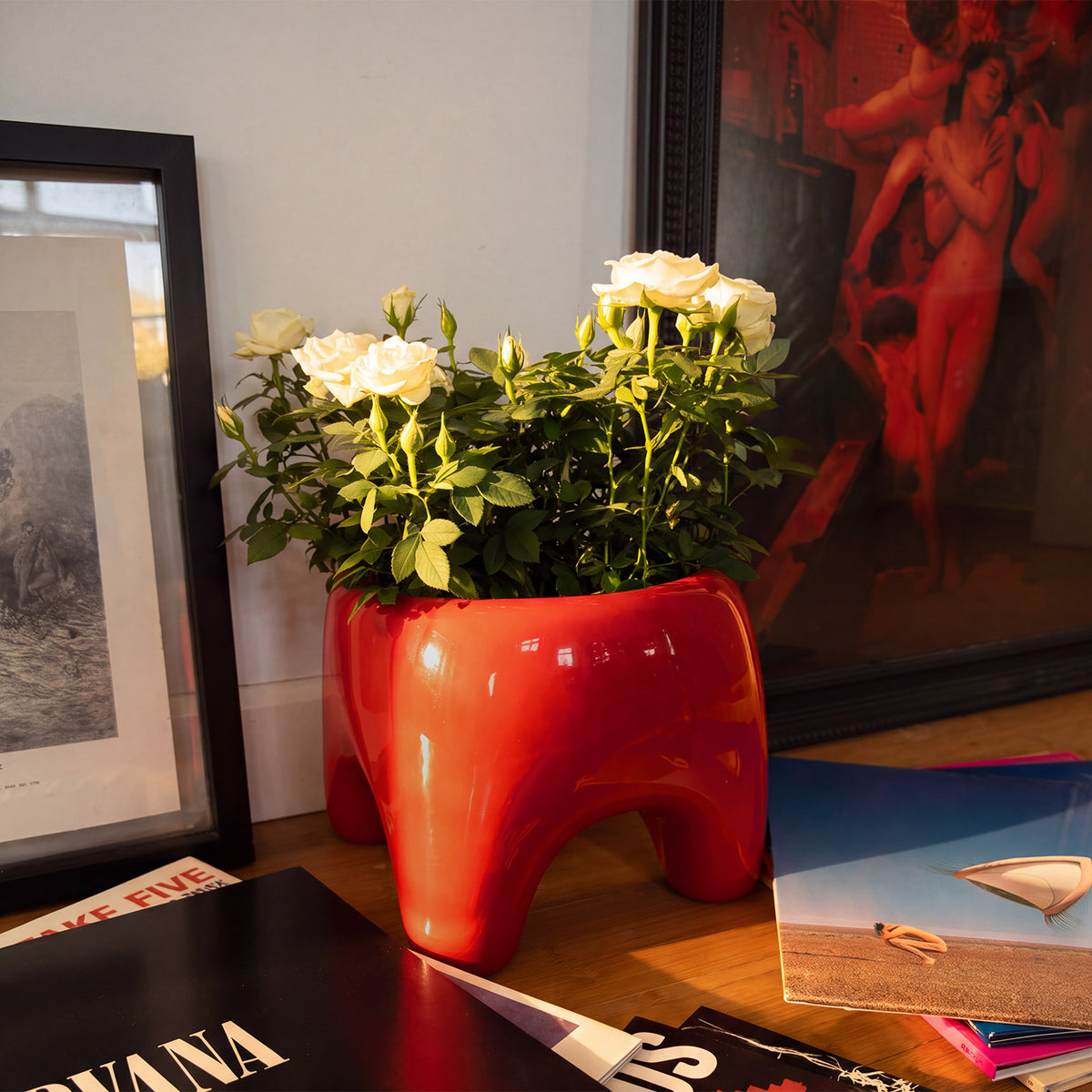 BUDDY Planter | Poppy Red