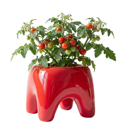 BUDDY Planter | Poppy Red
