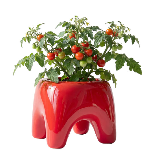 BUDDY Planter | Poppy Red