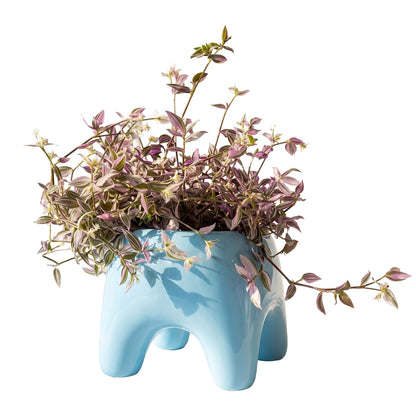 BUDDY Planter | Sky Blue