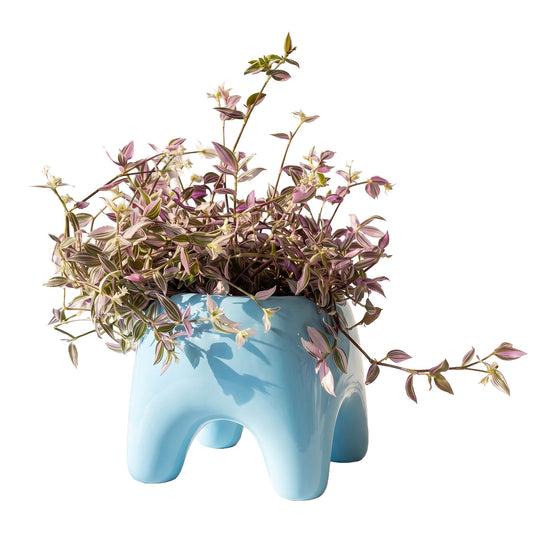BUDDY Planter | Sky Blue