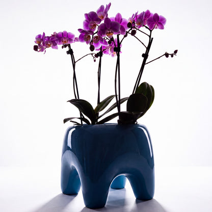 BUDDY Planter | Sky Blue
