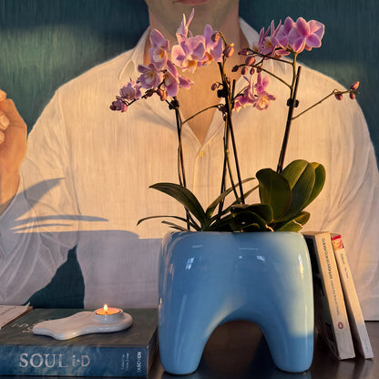 BUDDY Planter | Sky Blue