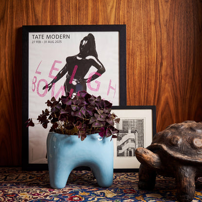 BUDDY Planter | Sky Blue