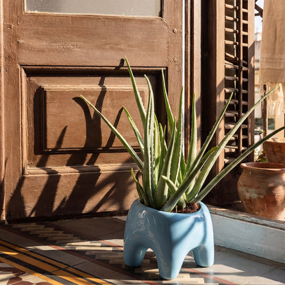 BUDDY Planter | Sky Blue