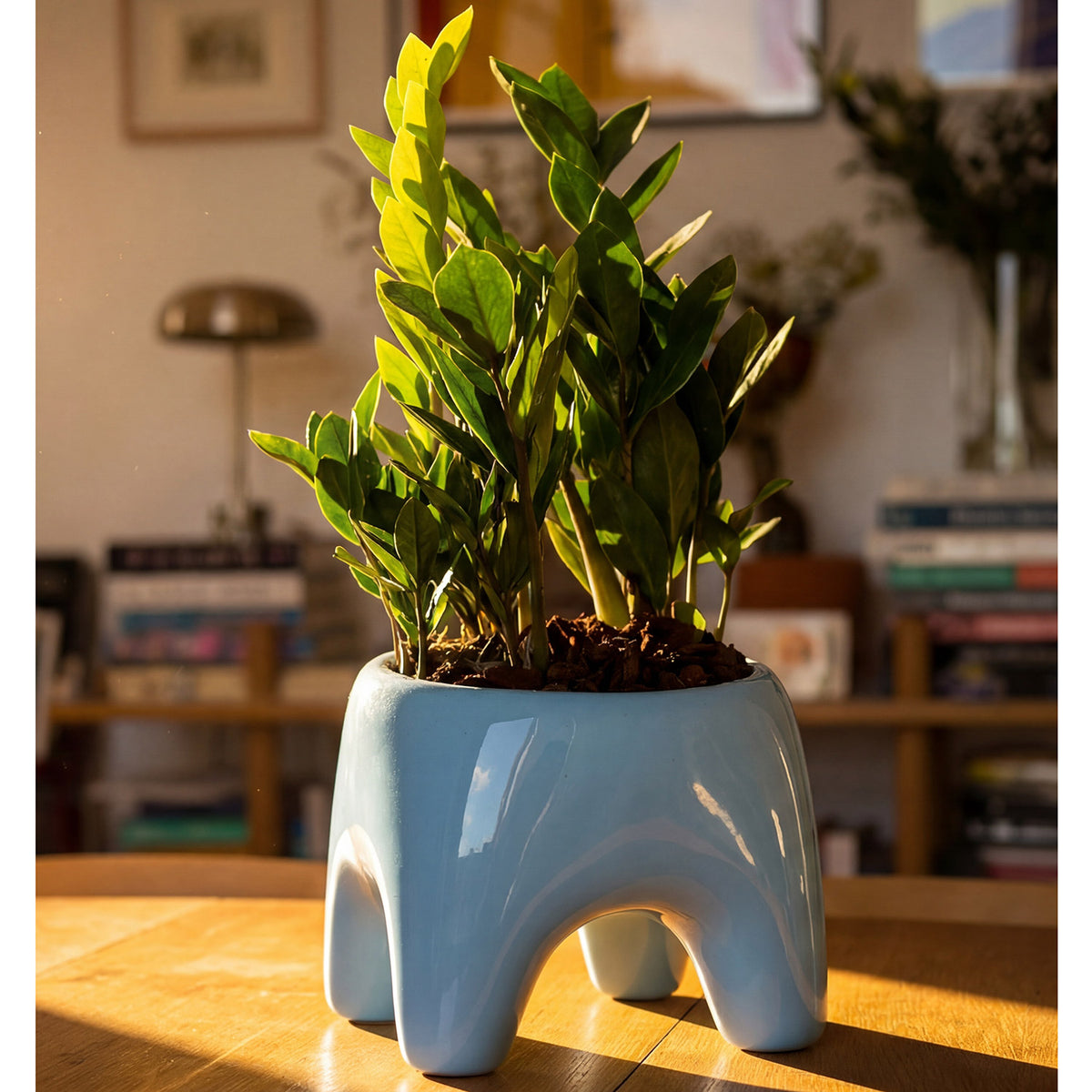 BUDDY Planter | Sky Blue