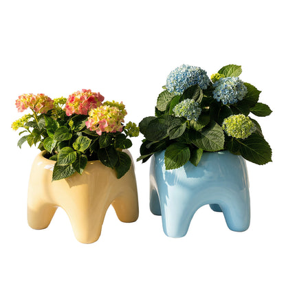 BUDDY Planter | Sky Blue