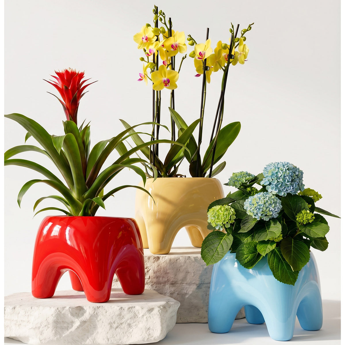 BUDDY Planter | Poppy Red