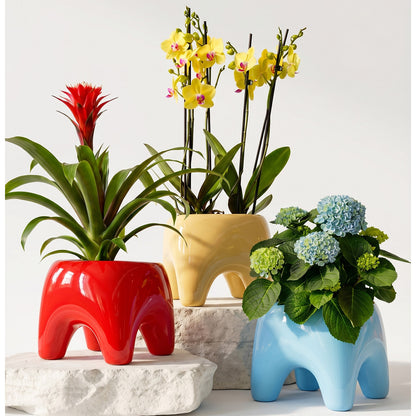 BUDDY Planter | Poppy Red