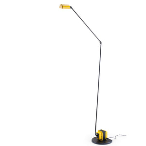 Daphine Terra 50th Anniversary | Anniversary Mustard