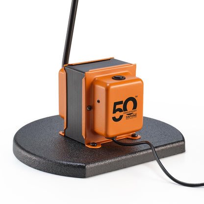 Daphine Terra 50th Anniversary | Anniversary Orange