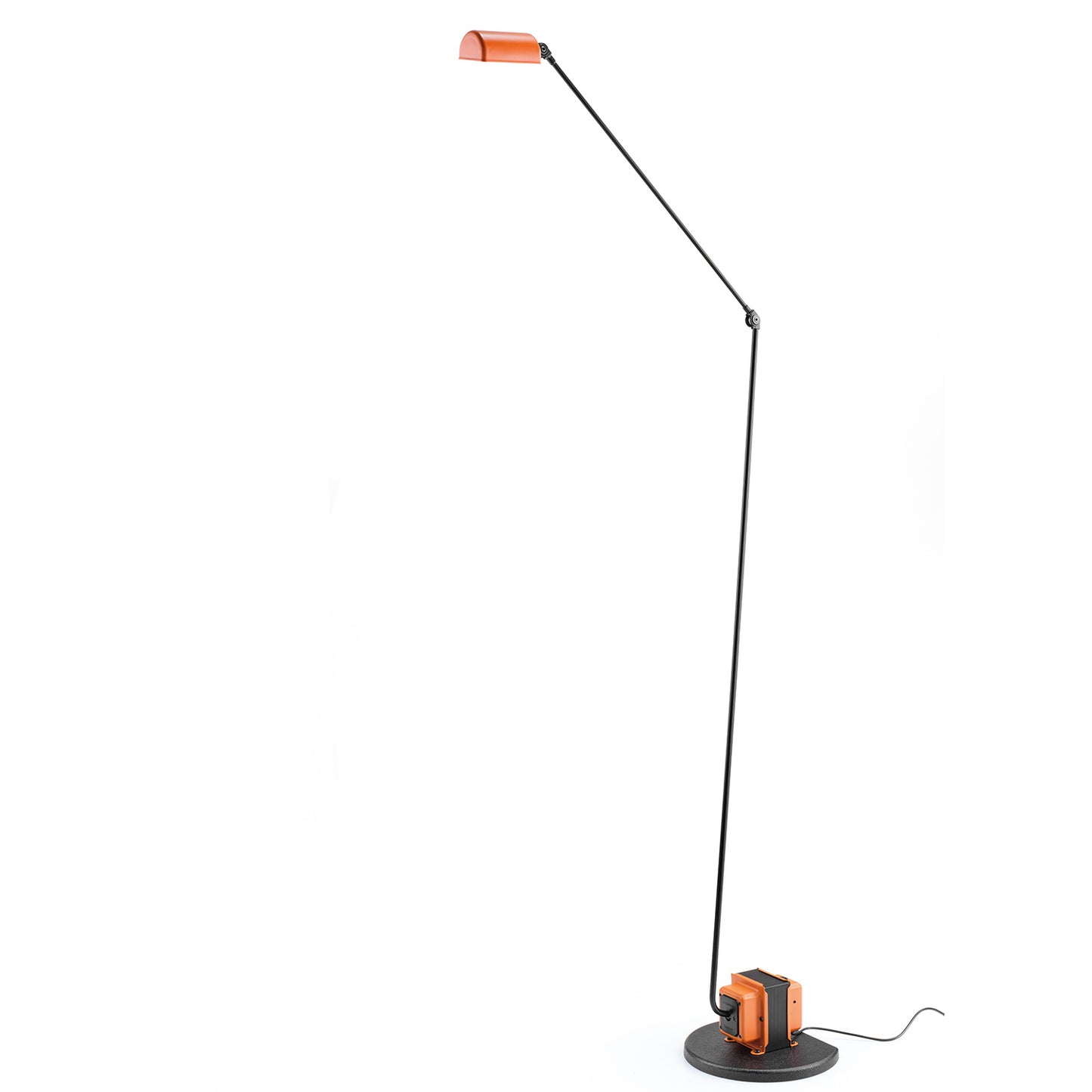 Daphine Terra 50th Anniversary | Anniversary Orange