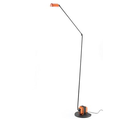 Daphine Terra 50th Anniversary | Anniversary Orange