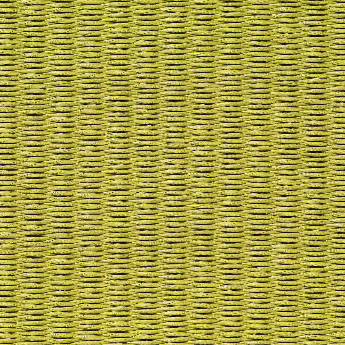 Green Play Unicolour Rug by Woodnotes