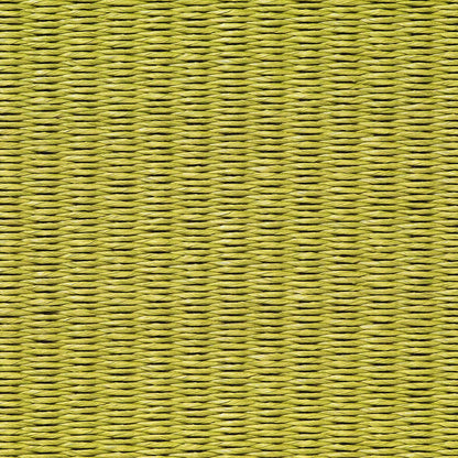 Green Play Unicolour Rug by Woodnotes