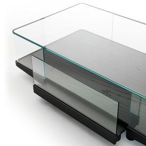 Collector Coffee Table | Black Ash Base