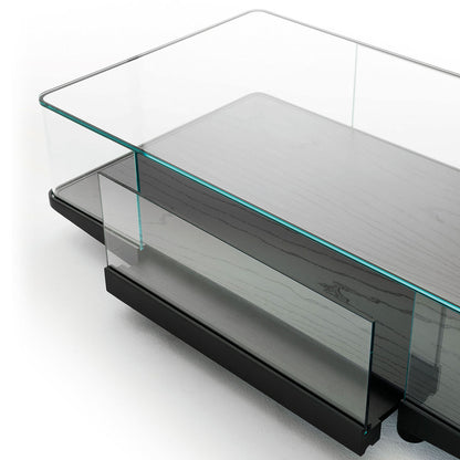 Collector Coffee Table | Black Ash Base