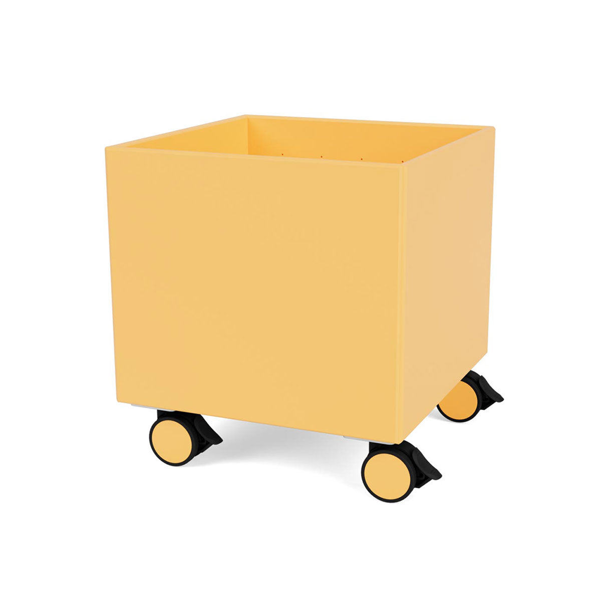 Colour Box I Storage Unit | Acacia Lacquer
