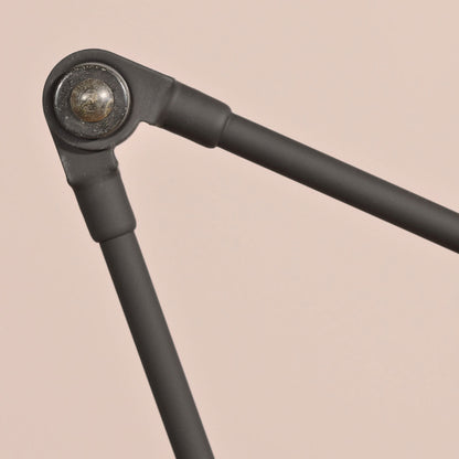 Daphine LED Tavolo Lamp | Black Soft Touch Finish