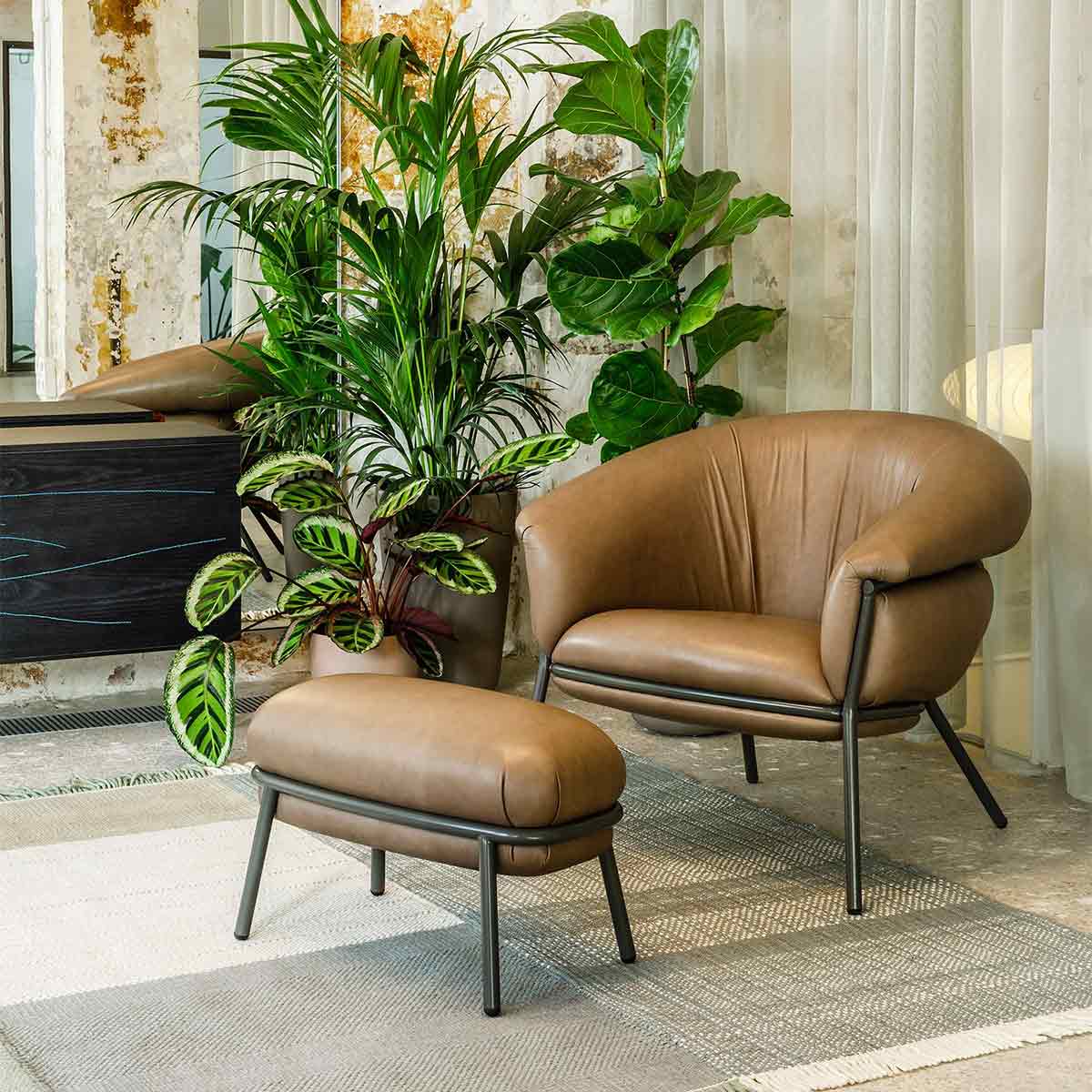 Grasso Armchair | Aged Camel V18 Vintage Leather