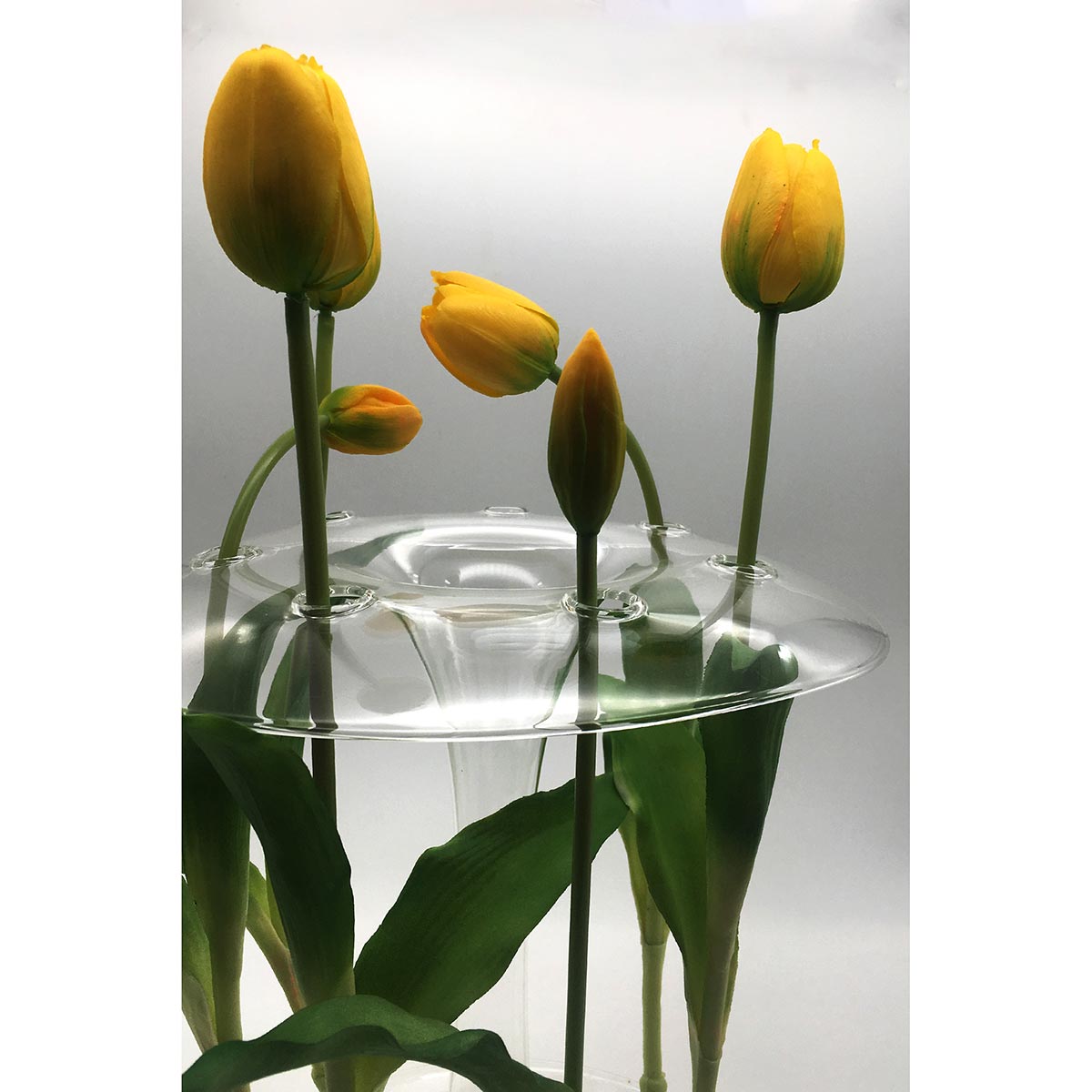 Aqua Stem Vase | Clear Glass