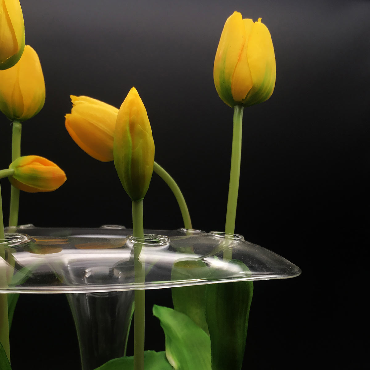 Aqua Stem Vase | Clear Glass