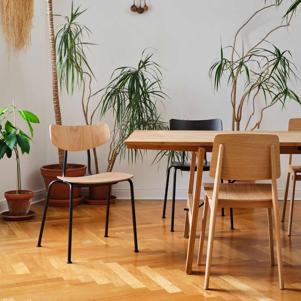 Moca Chair | Natural Oak Seat and Back