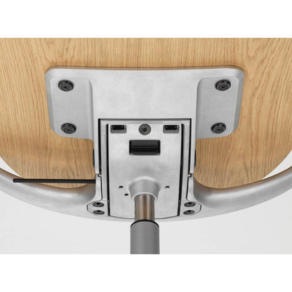 Mynt Chair Plywood | No Covers