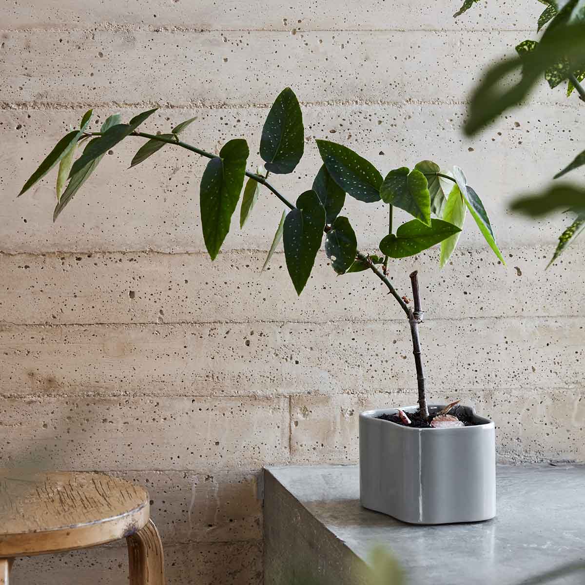 Riihitie Plant Pot Shape A | Light Grey Glazed Ceramic