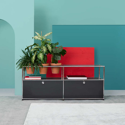 USM Sideboard with Flowerpots | Graphite Black Lacquer Panels