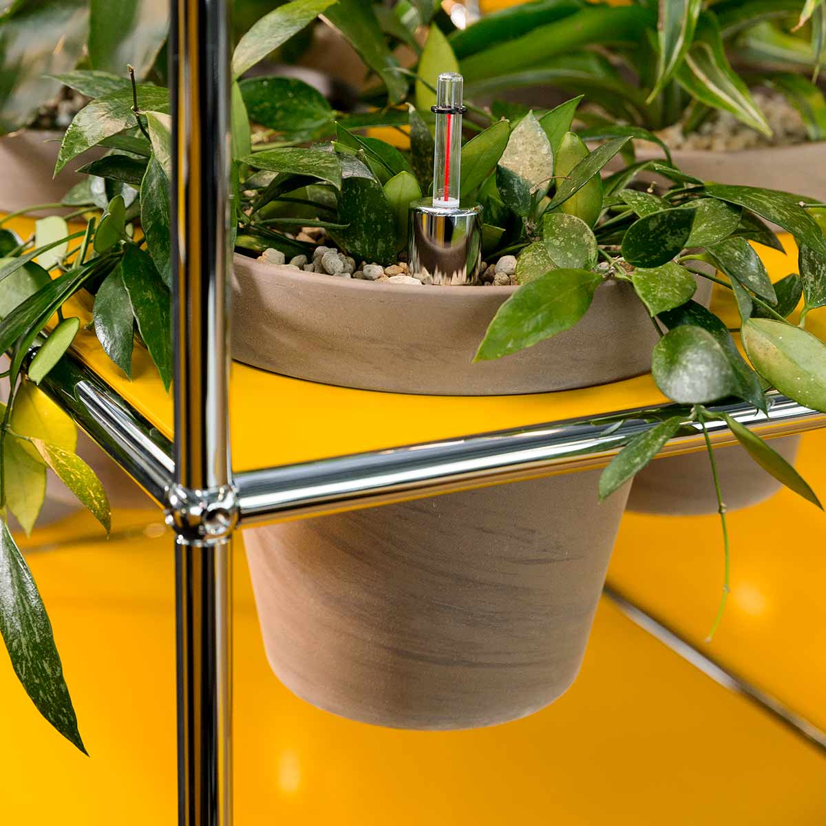 USM Side Table with Flowerpots | Golden Yellow Lacquer Panels