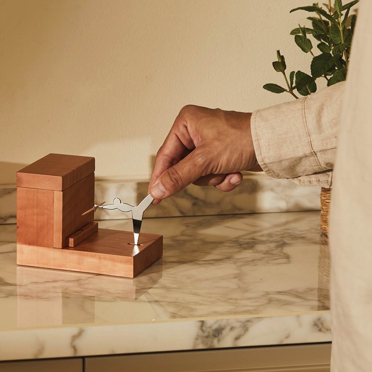 Toothpick Holder | Pear-wood